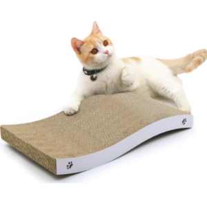 Untitled design (37)